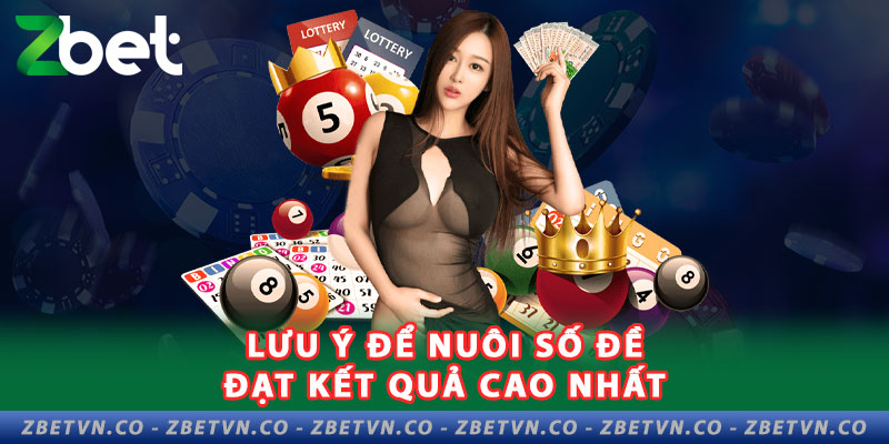 Hướng Dẫn Cách Nuôi Lô Đề Hiệu Quả Tại ZBET luu-y-de-nuoi-so-de-dat-ket-qua-cao-nhat
